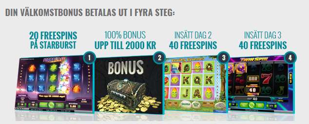 Viking Slots Bonusar