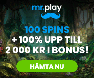 Mr Play Casino